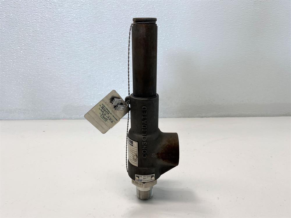 Dresser Consolidated 3/4" MNPT x 1" FNPT Relief Valve, 2-096-2-MS